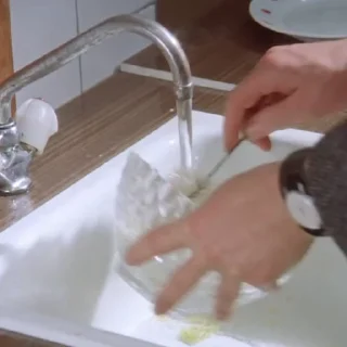 🍽