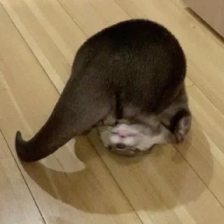🤪