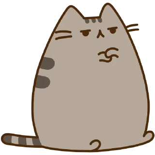 😾