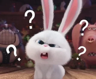 🐰