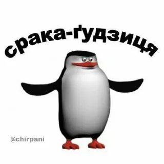 🐧