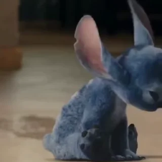 🌟