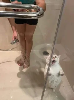 🚿