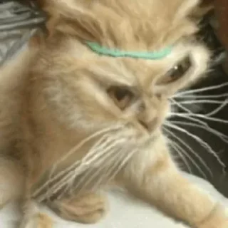 😡