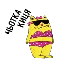 😎