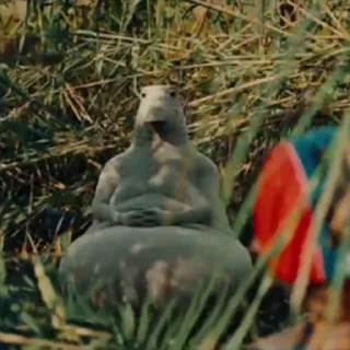 🤩