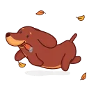 🏃‍♂️