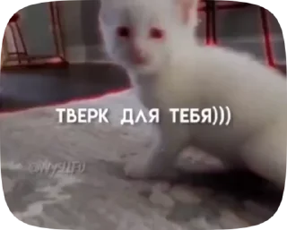 👀