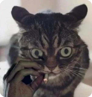 😳