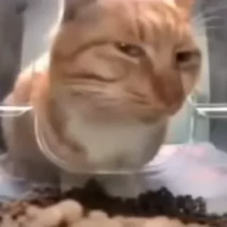 😒