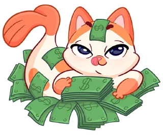 💸