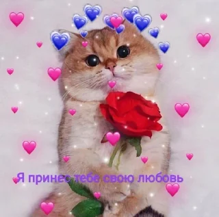 🥰