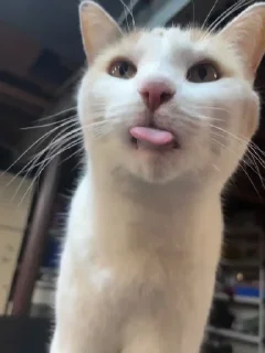😛