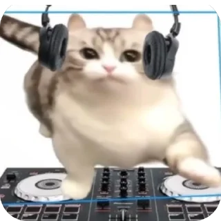 🫥