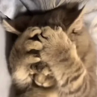 😖
