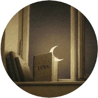🌜