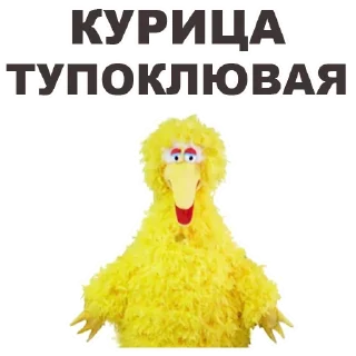 🙎