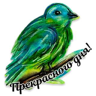 🐦