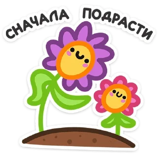 🌺