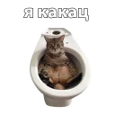 🚽