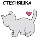 🐱
