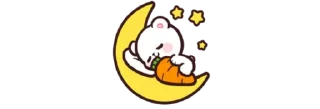 🌙