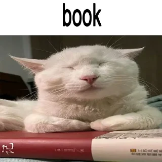 🐈