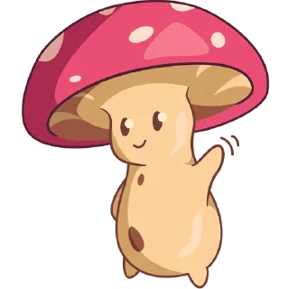 Mushroom Boy