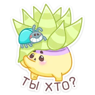 ❓