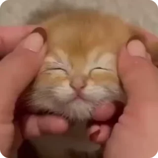 ☺️