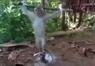 ☦️
