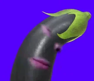 🤨