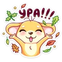 🎉