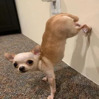 😶