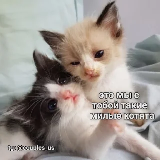 ❤️