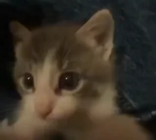 💕
