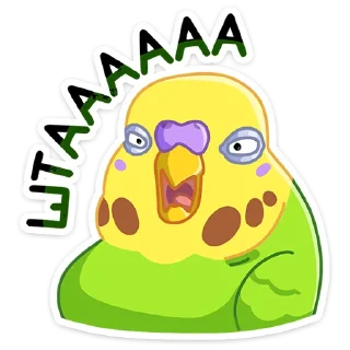 ❓