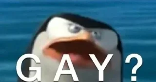 🏳‍🌈
