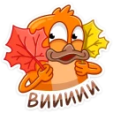 🍁