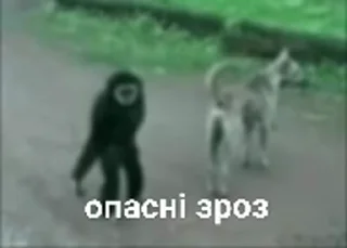 😱