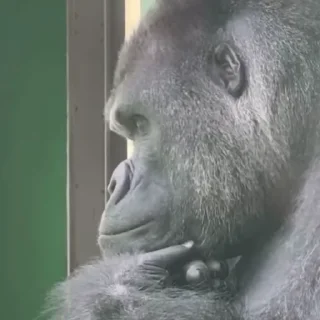 🤔