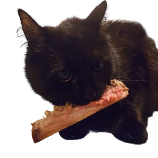 🥩