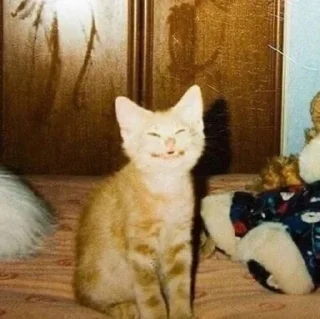 🤭