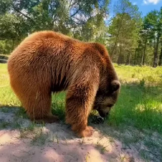 🤩