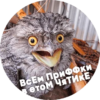 😄