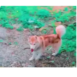 👍