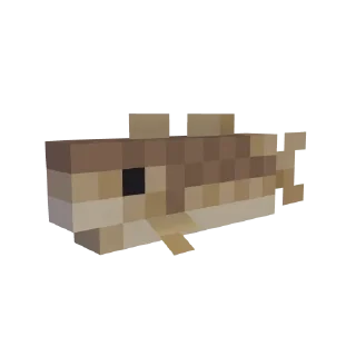 🐟