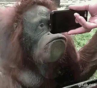 ☹️