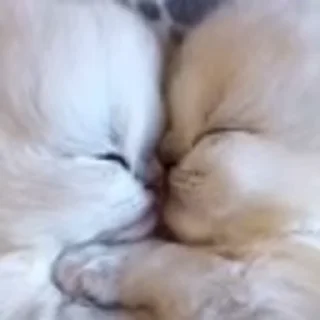 💗