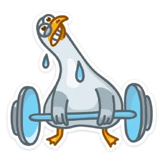 💪